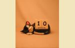 UTH403  Календарь `Спящий кот с рыжими пятнами`.